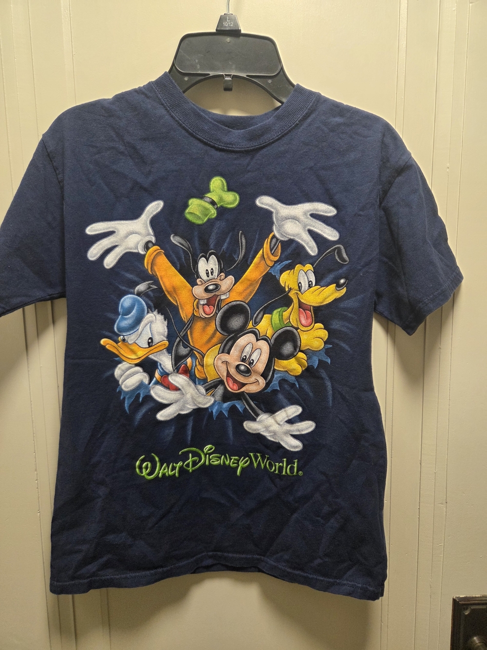 Walt Disney World Disney Parks Kids Blue T-shirt Large Goofy Donald Mickey Pluto